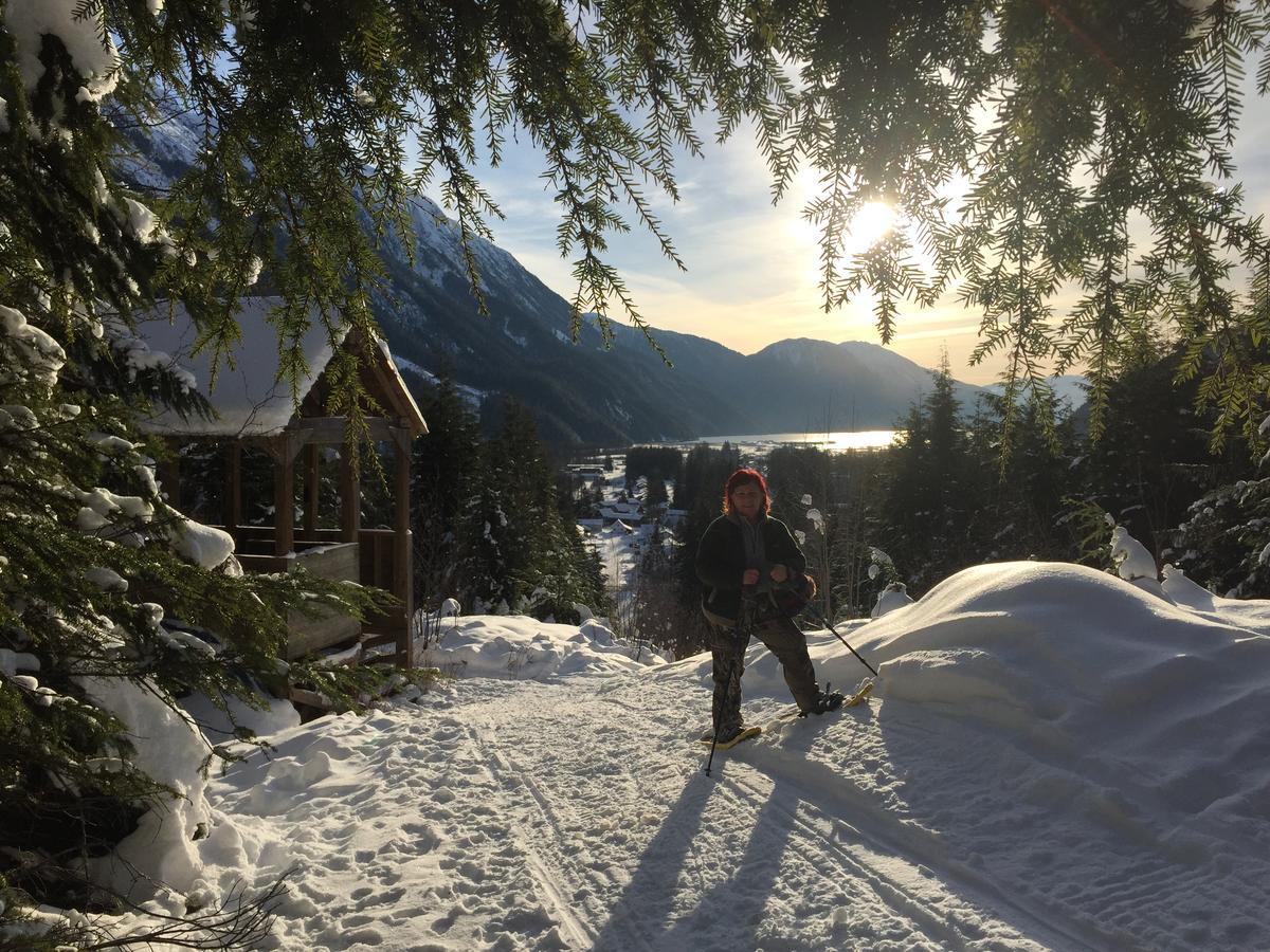 Guesthouse Austria Stewart Zewnętrze zdjęcie